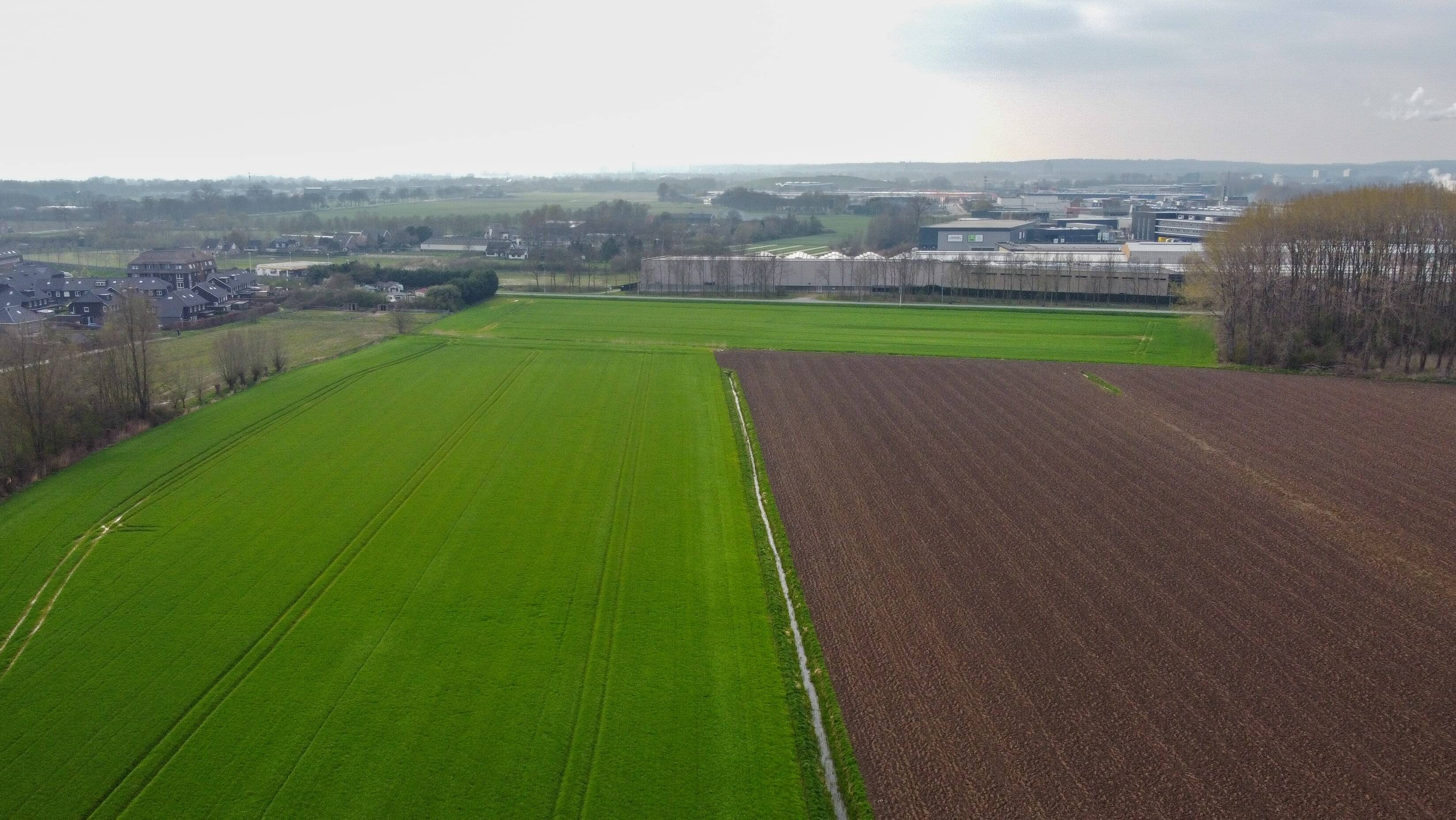 De locatie waar ze gaan bouwen