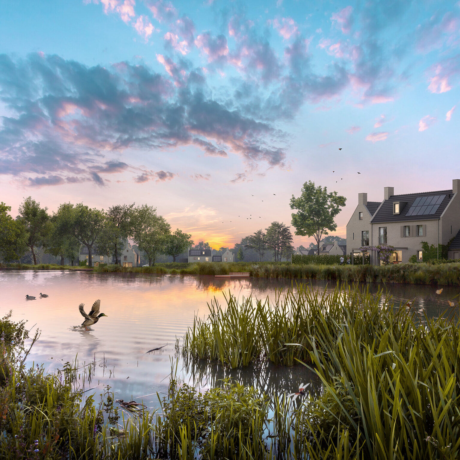 Omgeving bij de Groensche Hoeven in Vught