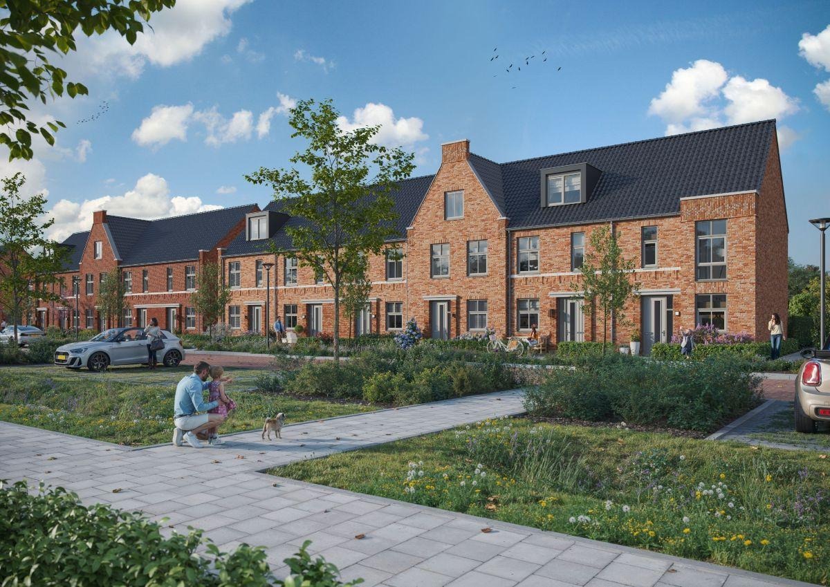 imgi_5_bec6c560-be38-11f0-998f-431463312a27